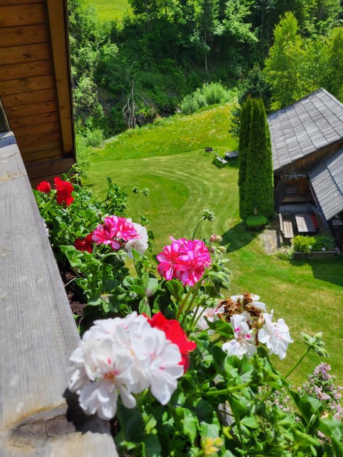 Appartements Hoeller Санкт-Лоренцен-об-Мурау Экстерьер фото